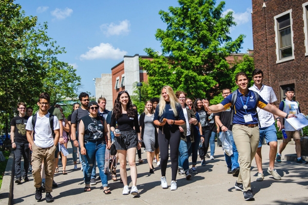 university of windsor popular programs